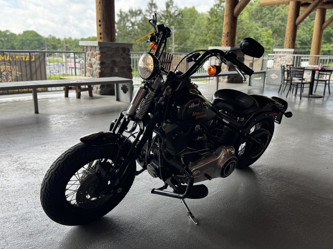 Softail® Cross Bones®