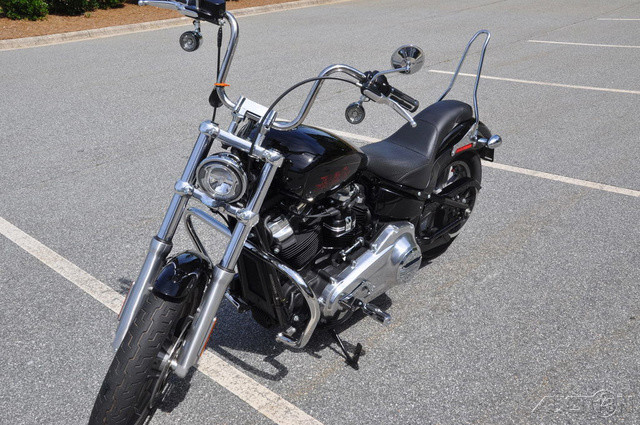 Softail® Standard