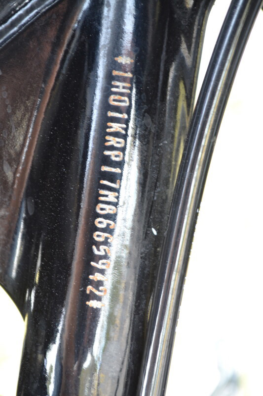 Street Glide® Special