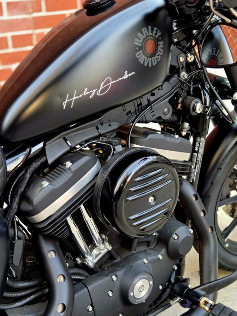 Iron 883®