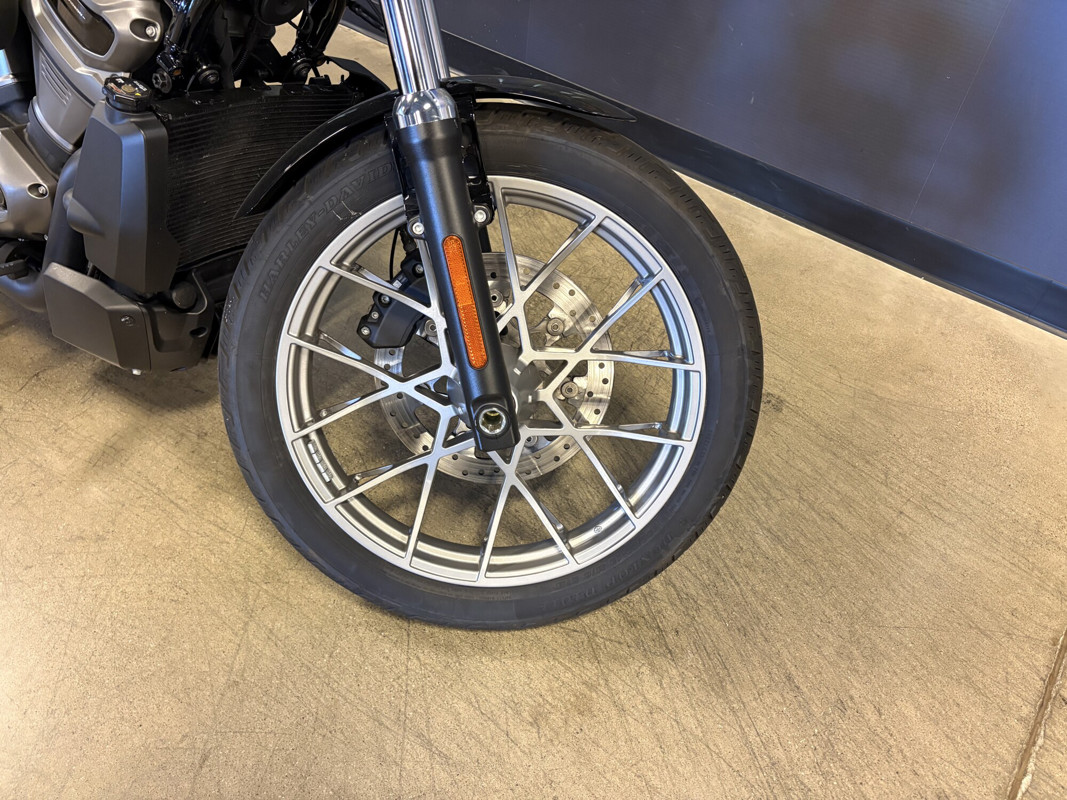 Nightster Special