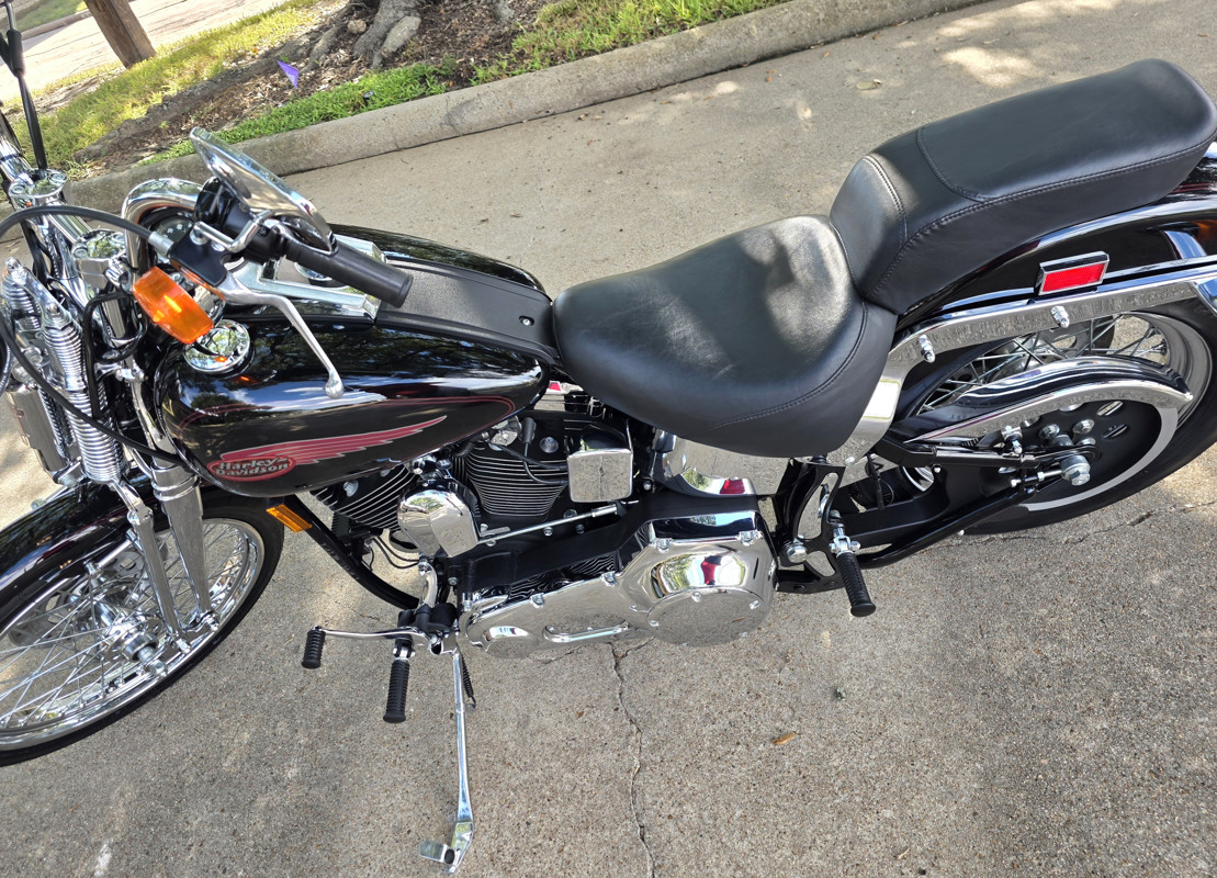 Springer® Softail®