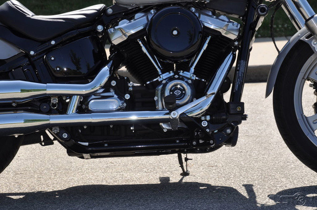 Softail® Standard