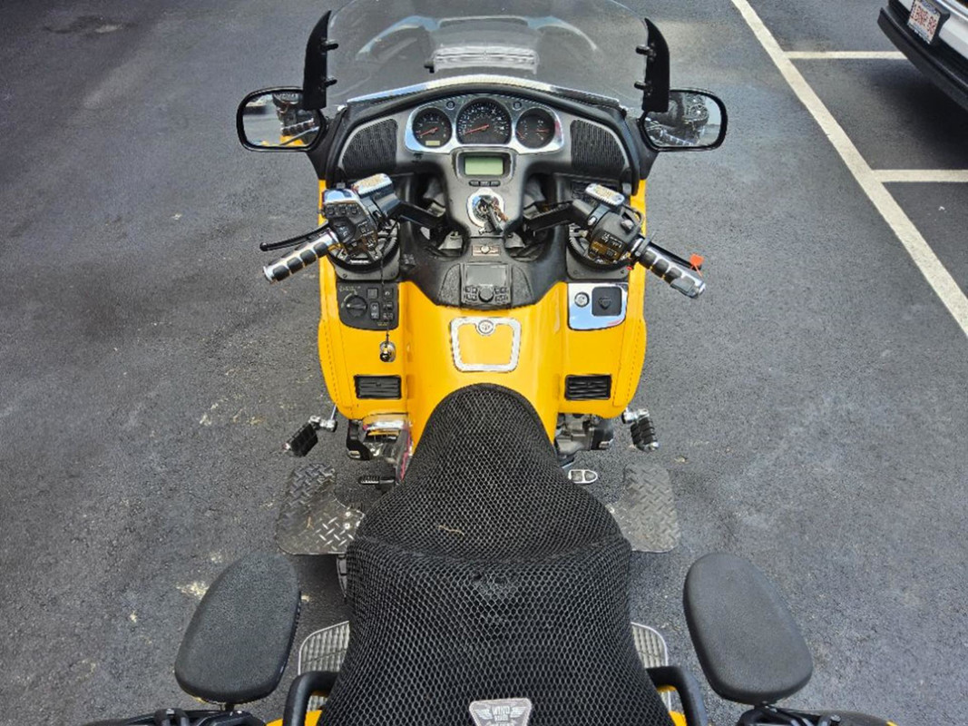 Gold Wing