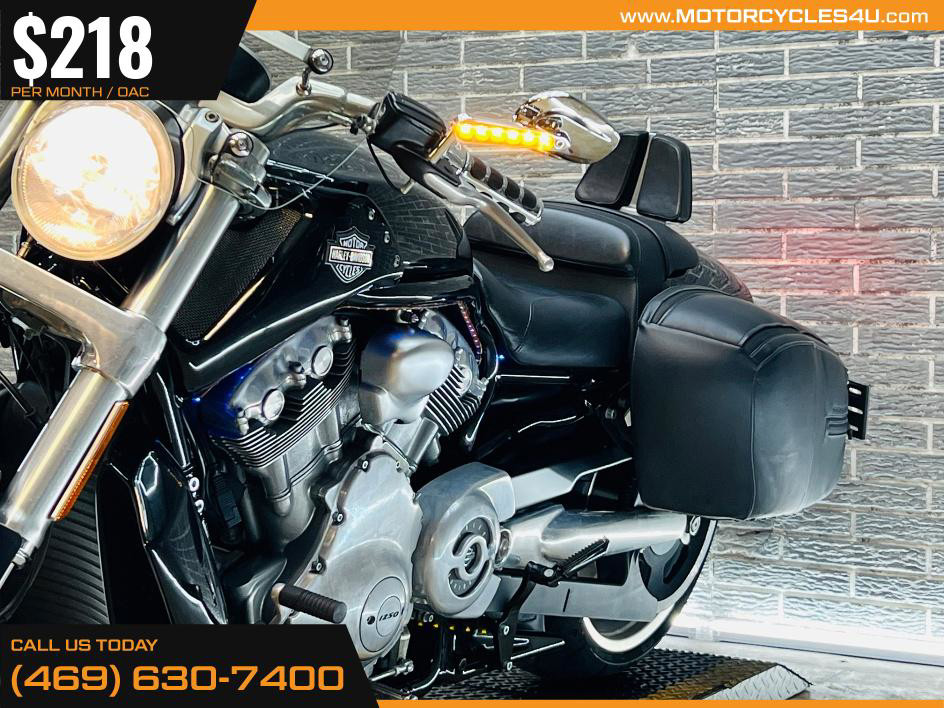 V-Rod Muscle®