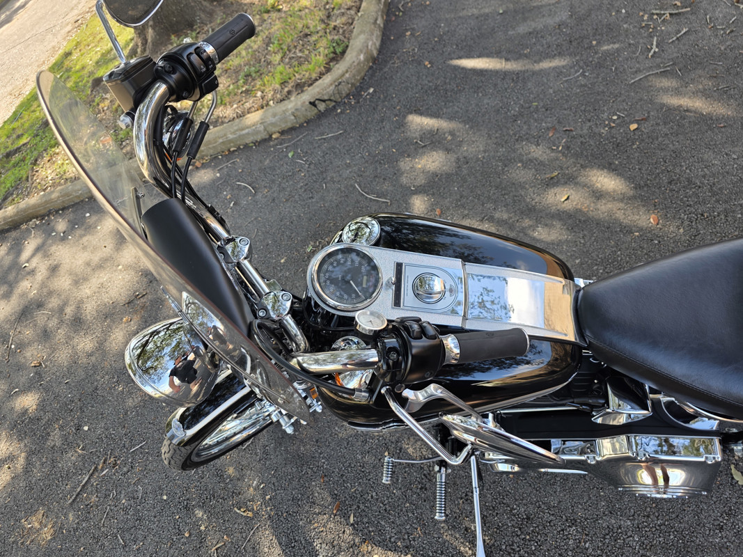 Springer® Softail® Anniversary