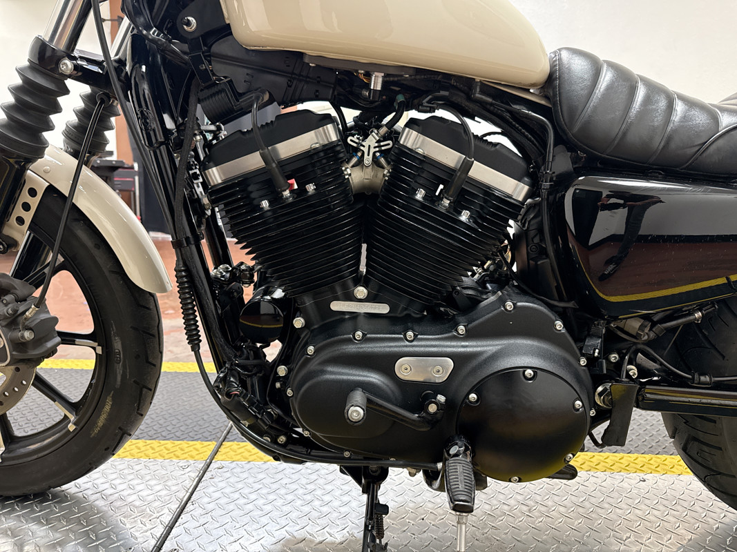 Iron 883®