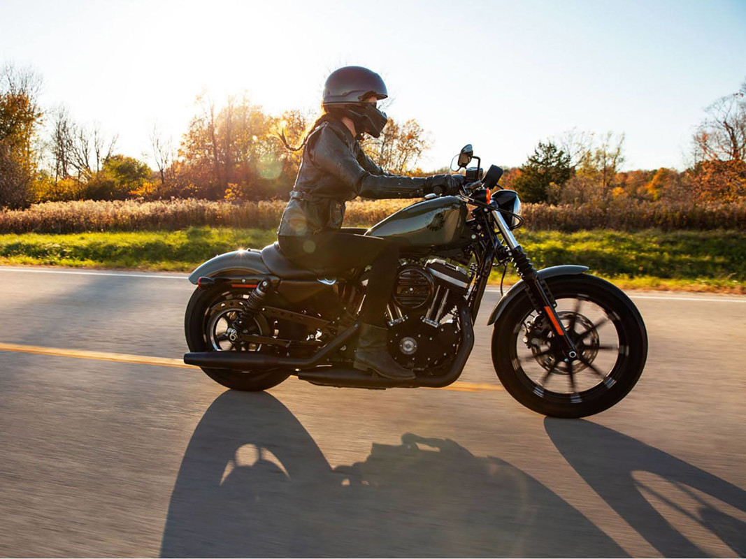 Iron 883®
