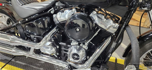 Softail® Standard