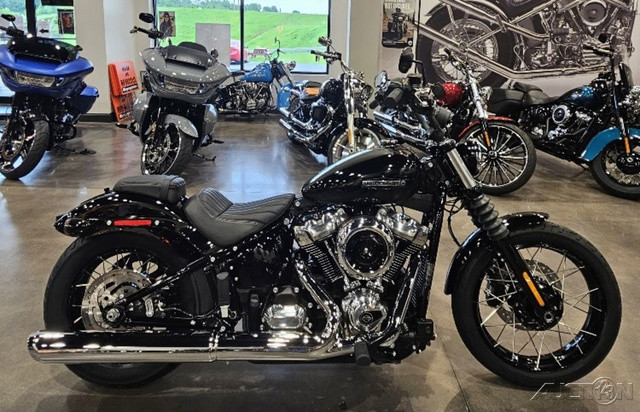 Street Bob®