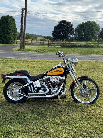 Softail® Springer® 
