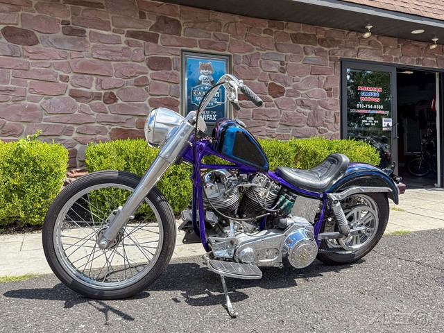 Electra Glide® Police