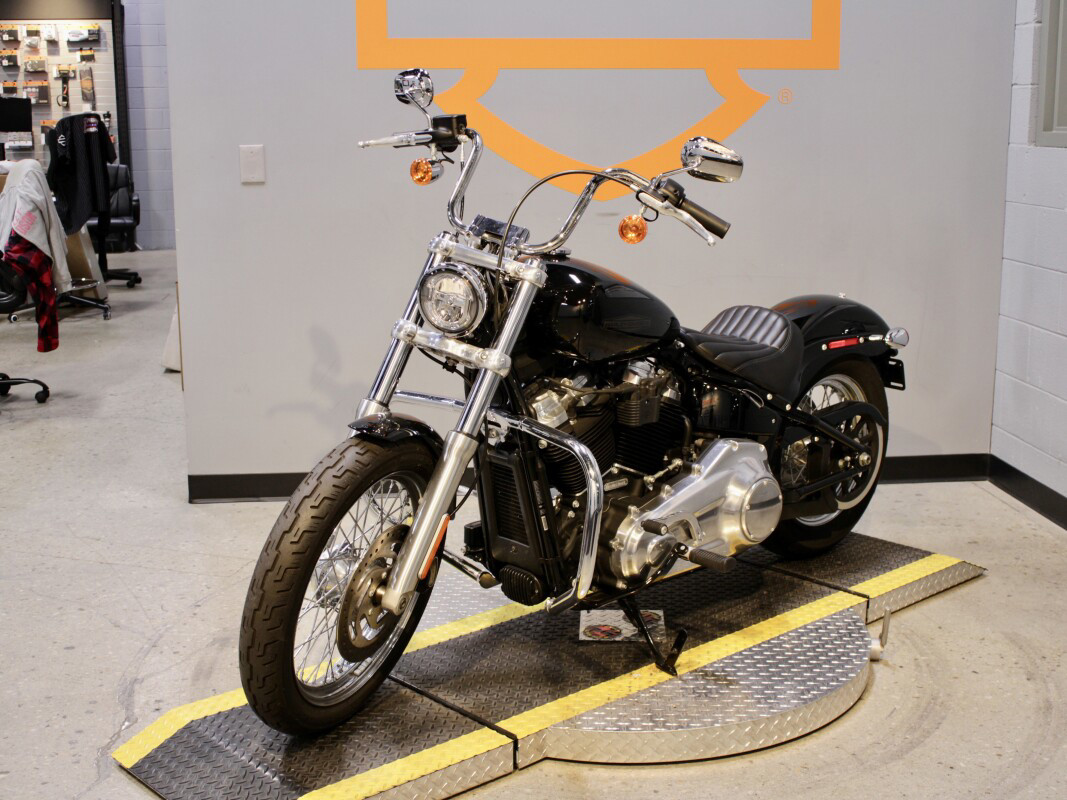 Softail® Standard