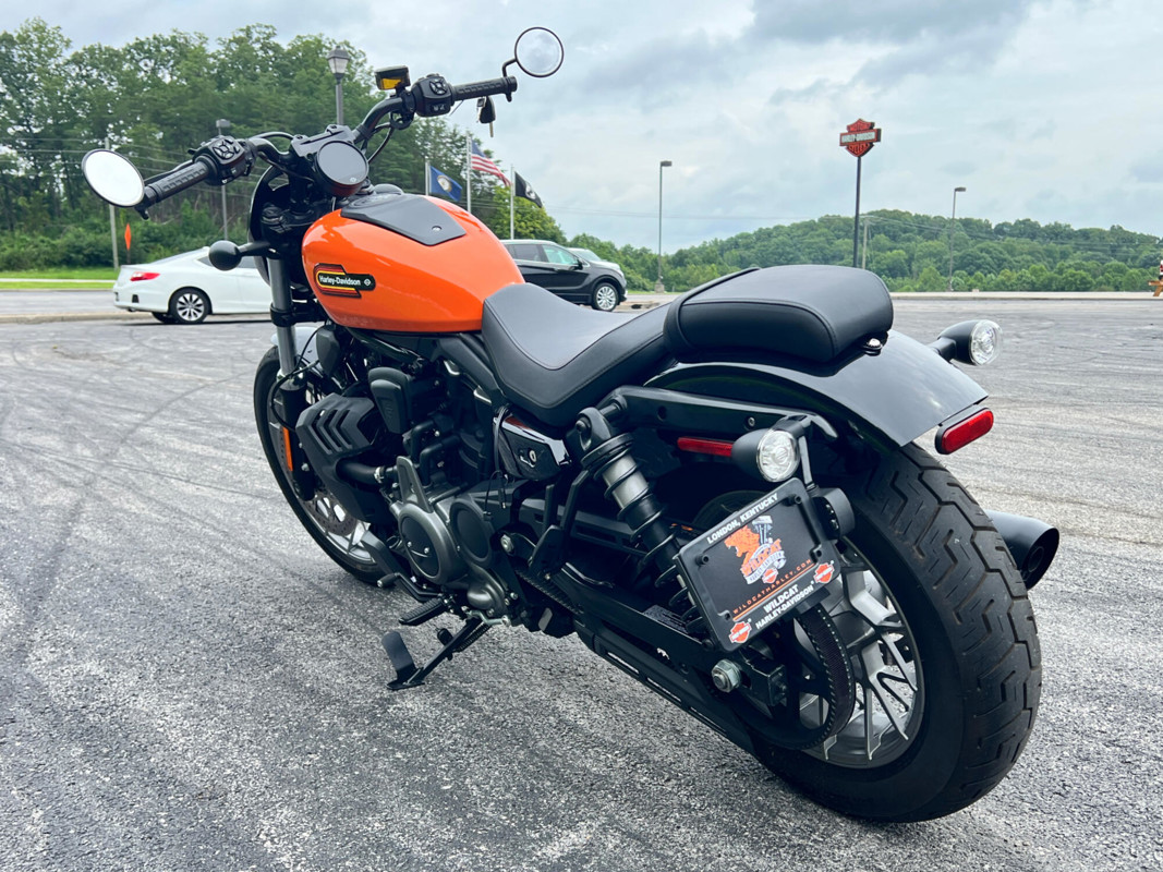 Nightster Special