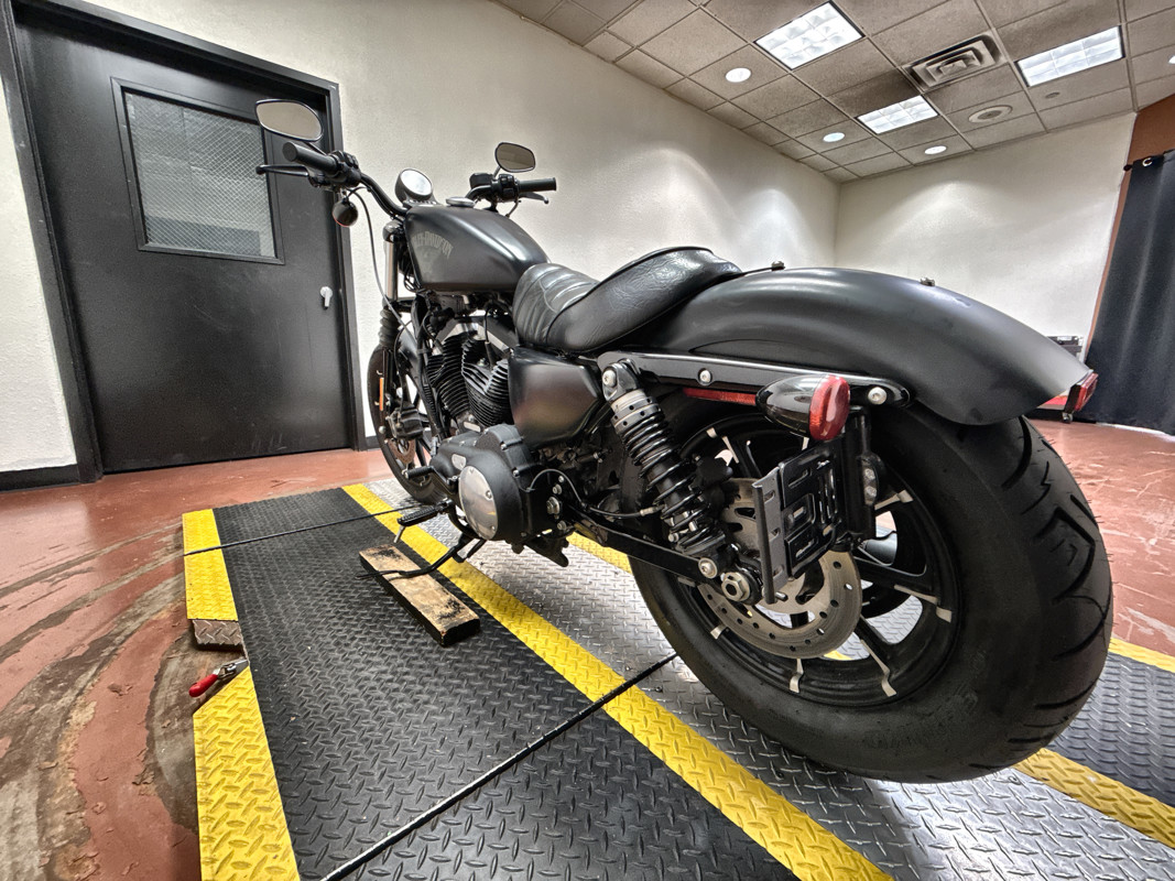 Sportster® Iron 883®