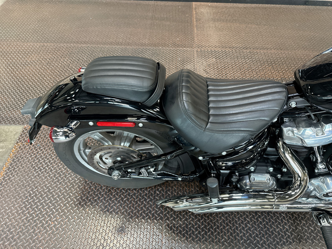 Softail® Standard