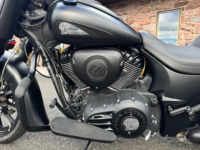 Springfield Dark Horse