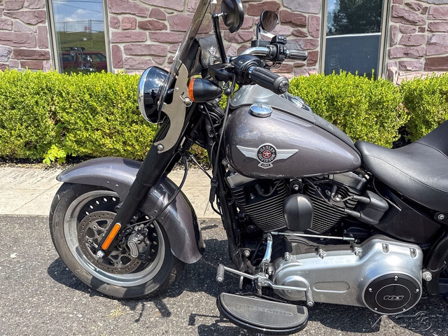 Softail® Fat Boy® Lo