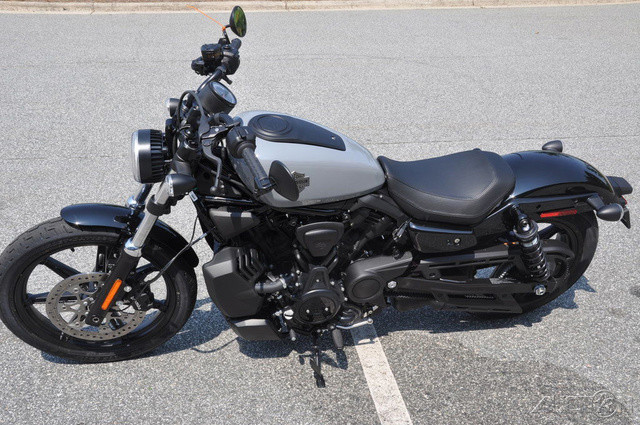 Nightster