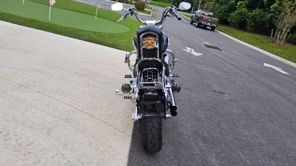 Softail® Custom