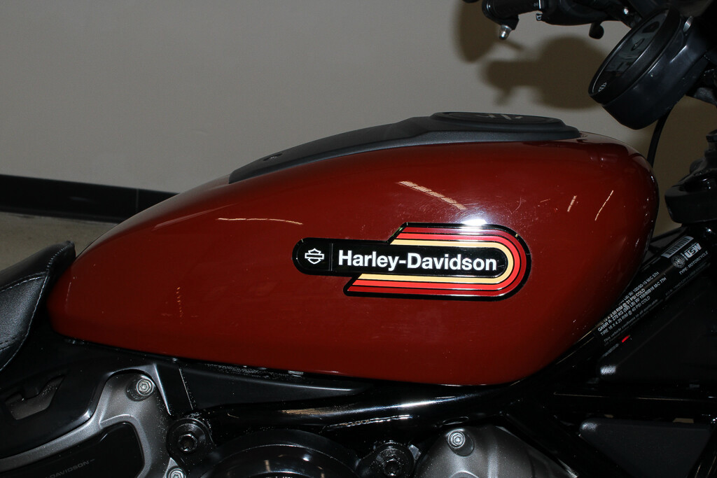 Nightster Special