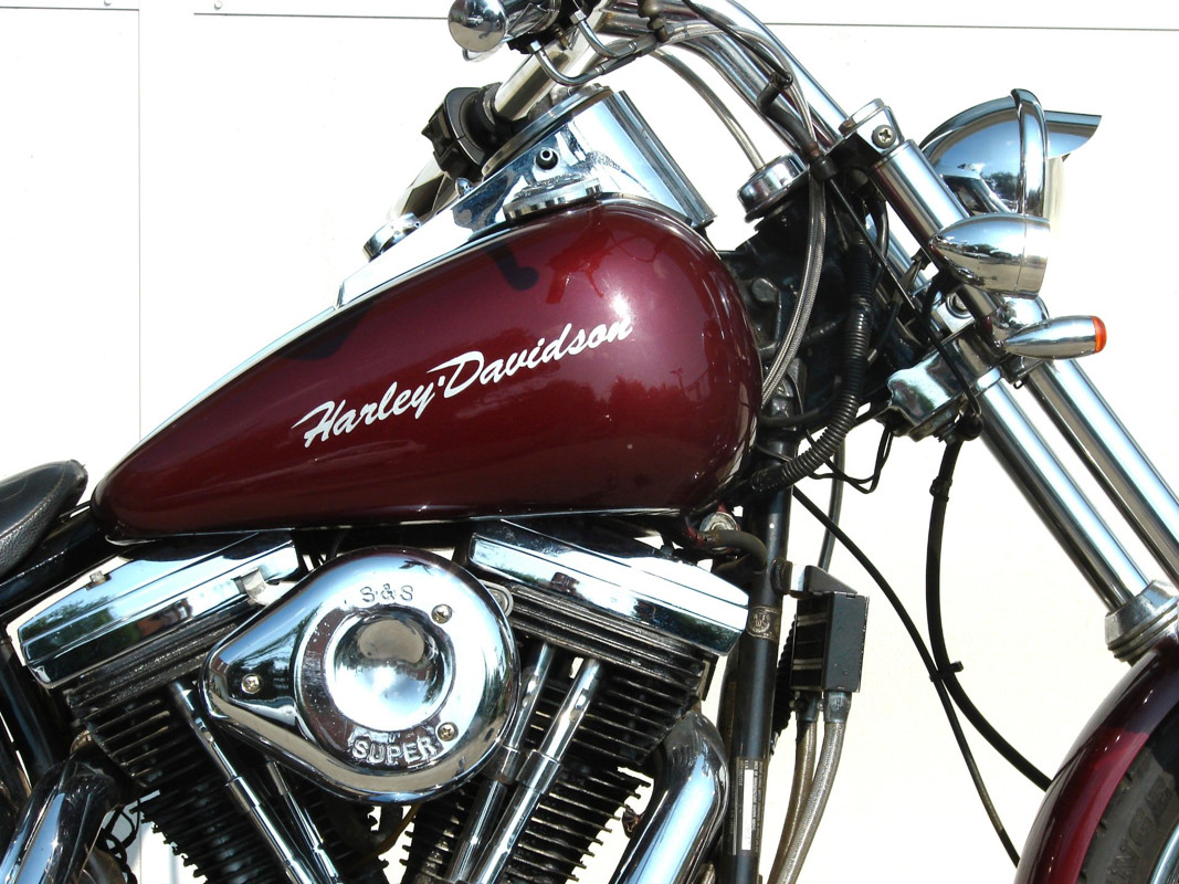 Softail® Custom
