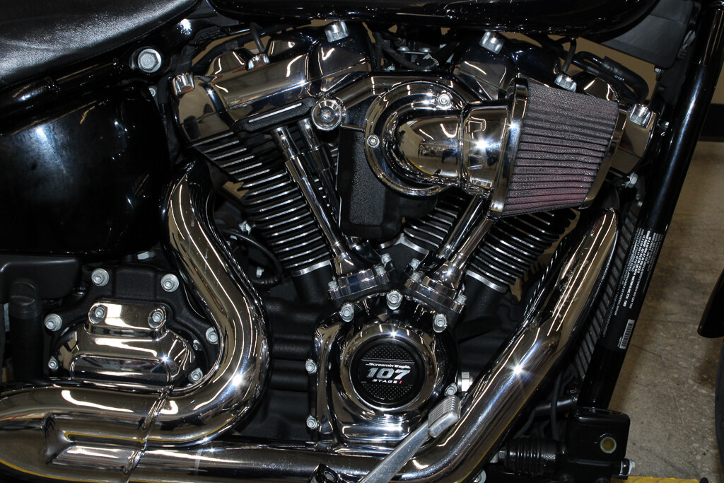 Softail® Low Rider®