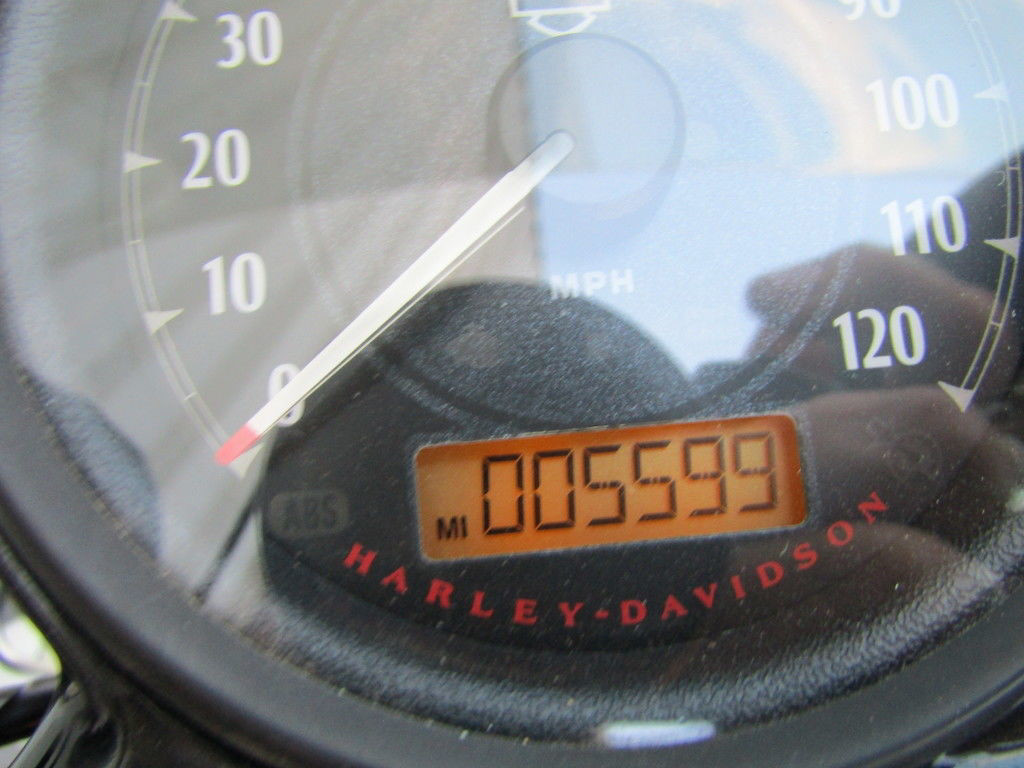 Sportster® Forty-Eight®