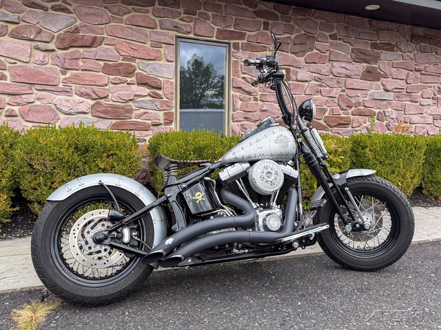 Softail® Cross Bones®