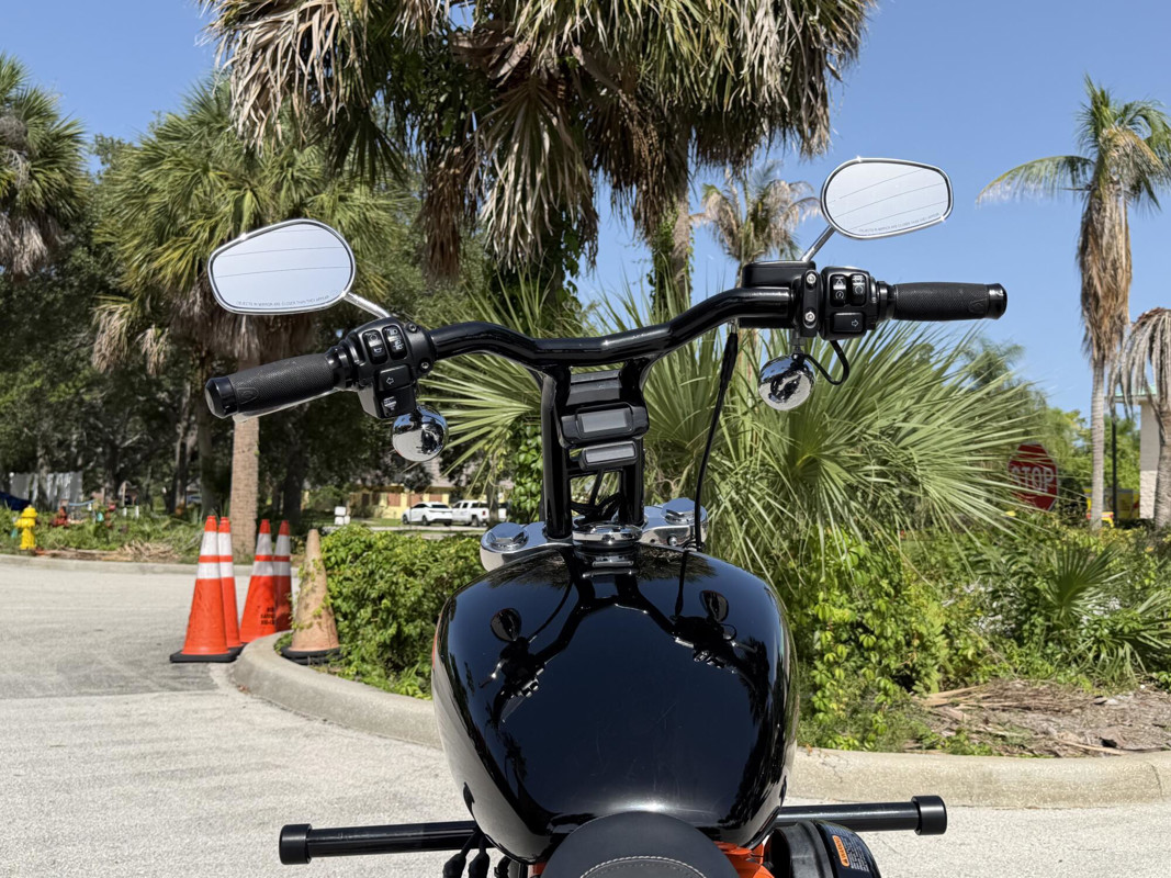 Softail® Standard