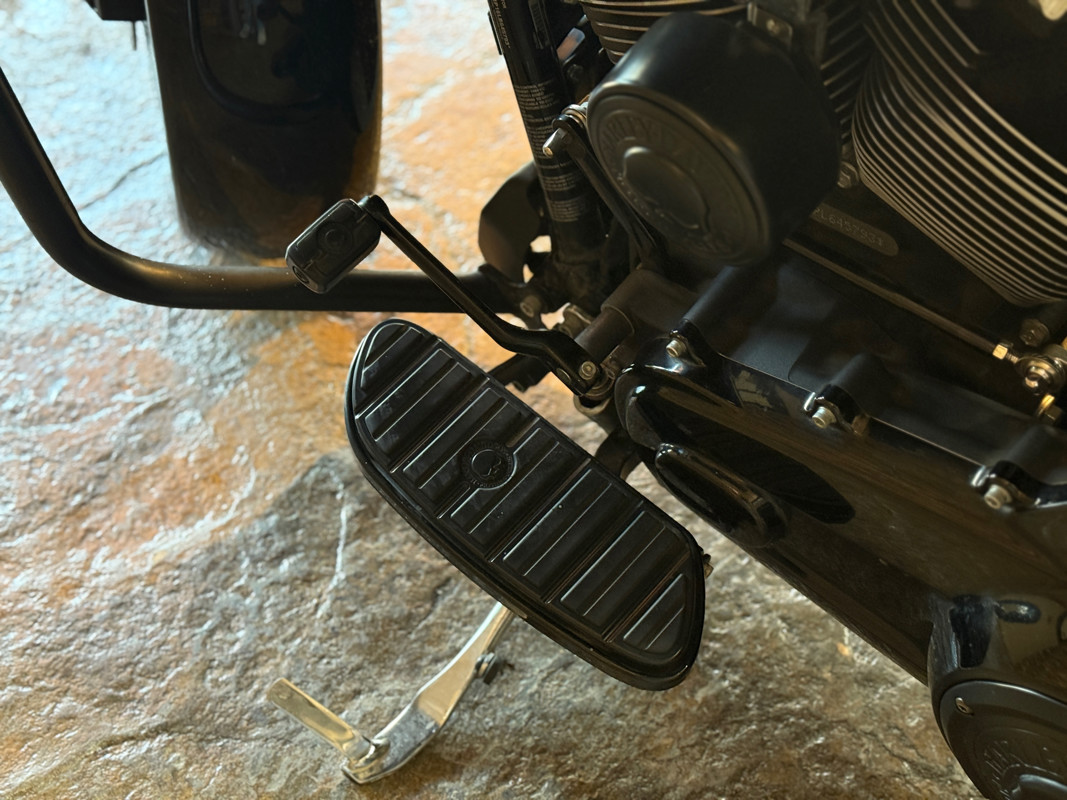Street Glide® Special