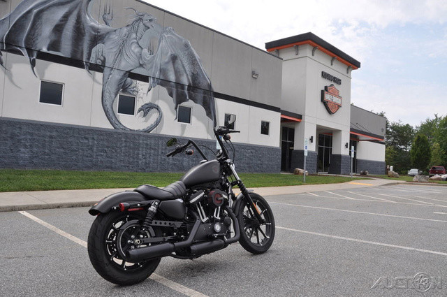 Iron 883®