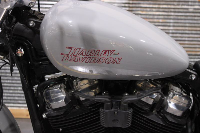 Softail® Standard