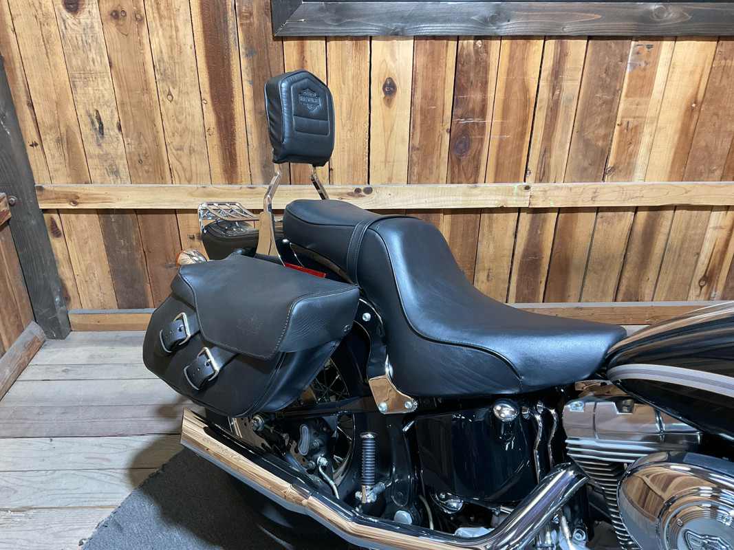 Softail® Standard