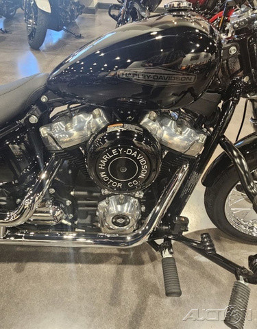 Softail® Standard