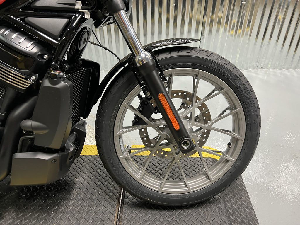 Nightster Special