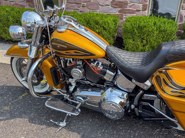 Softail® Deluxe