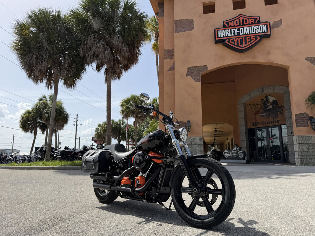 Softail® Standard
