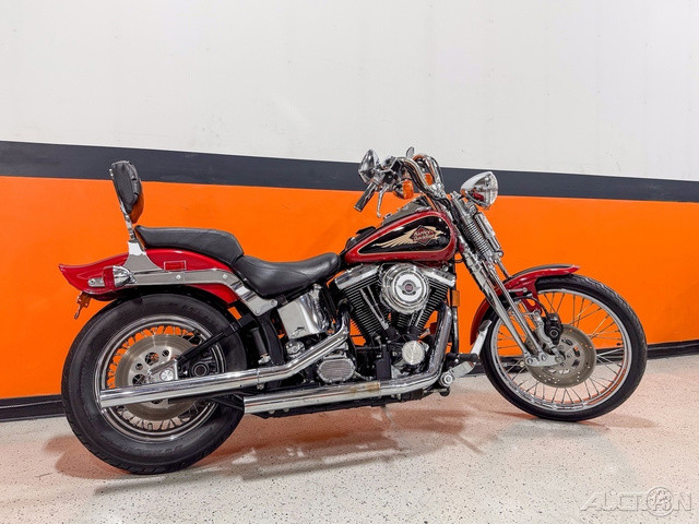 Springer® Softail®