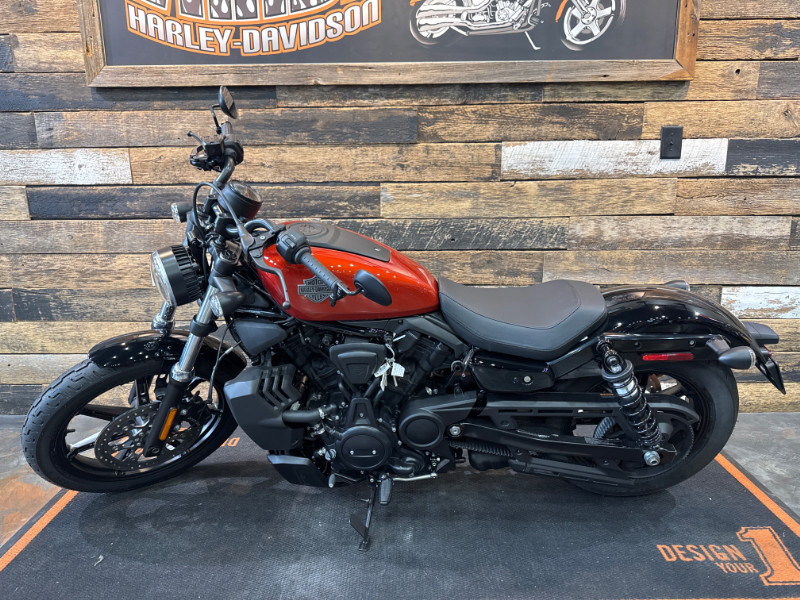 Nightster
