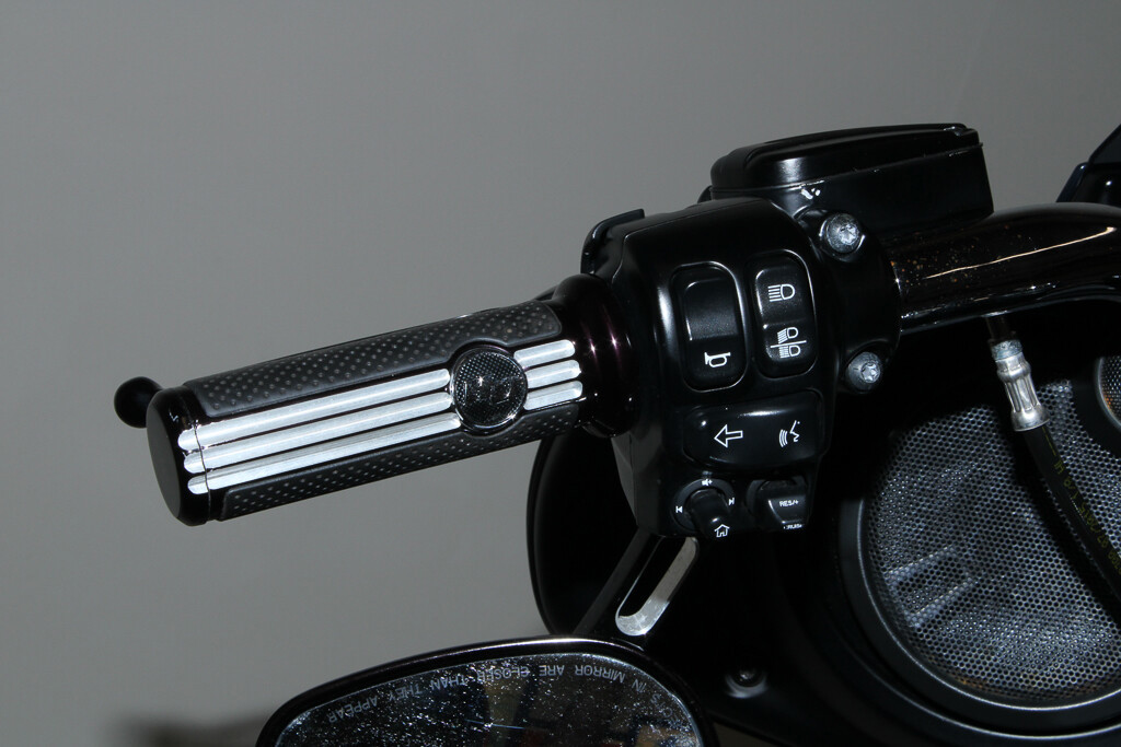 Street Glide® Special