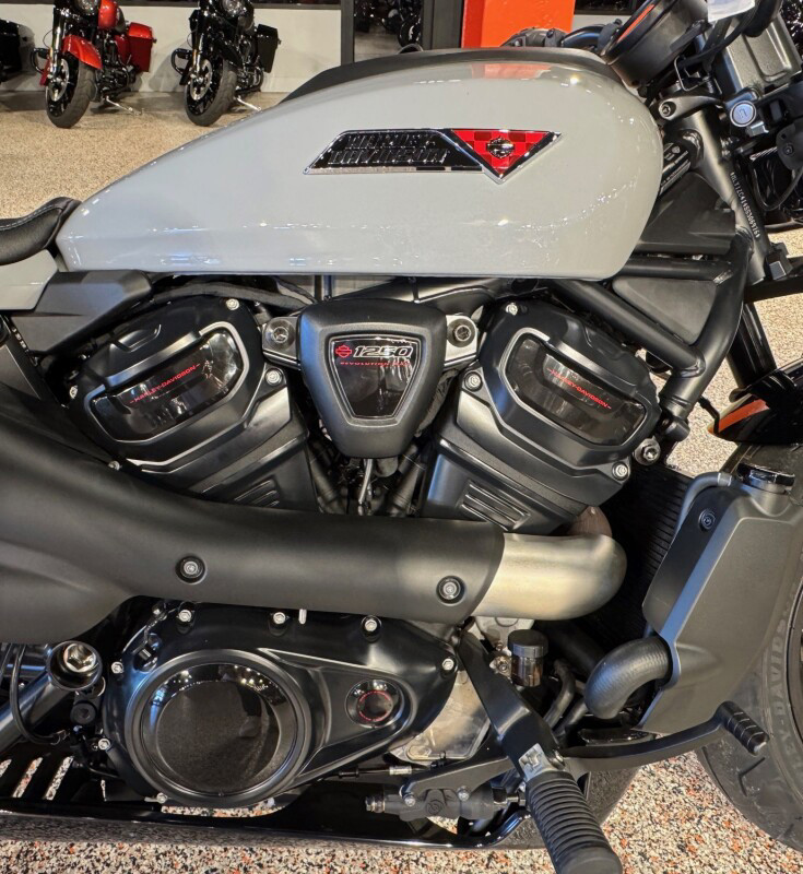 Sportster® S