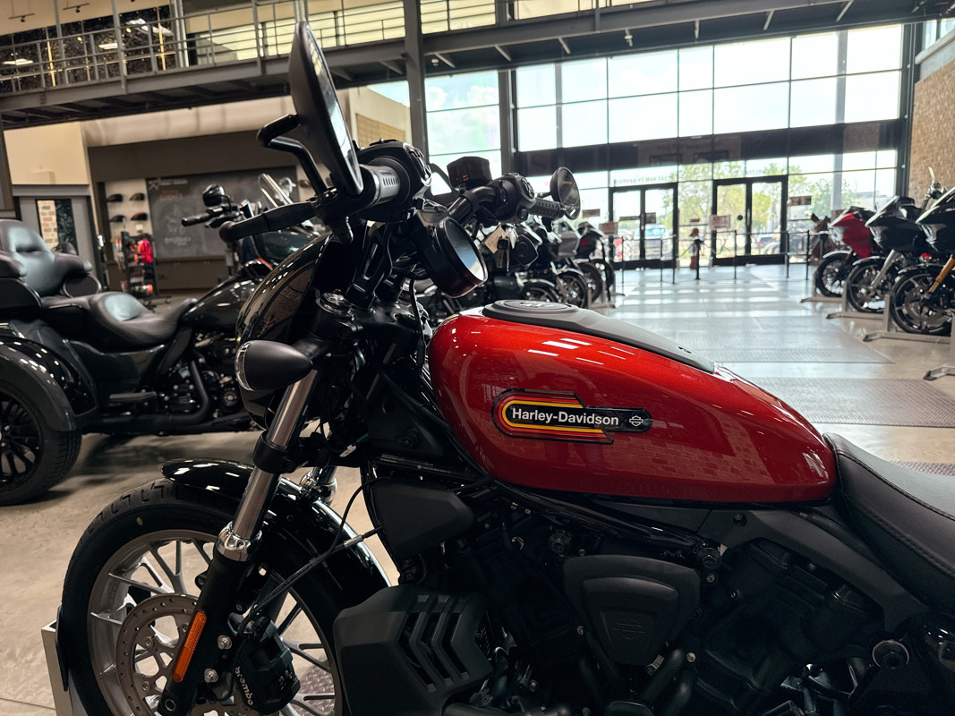 Nightster Special