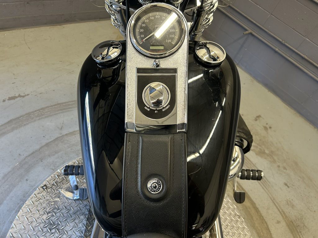 Softail® Custom