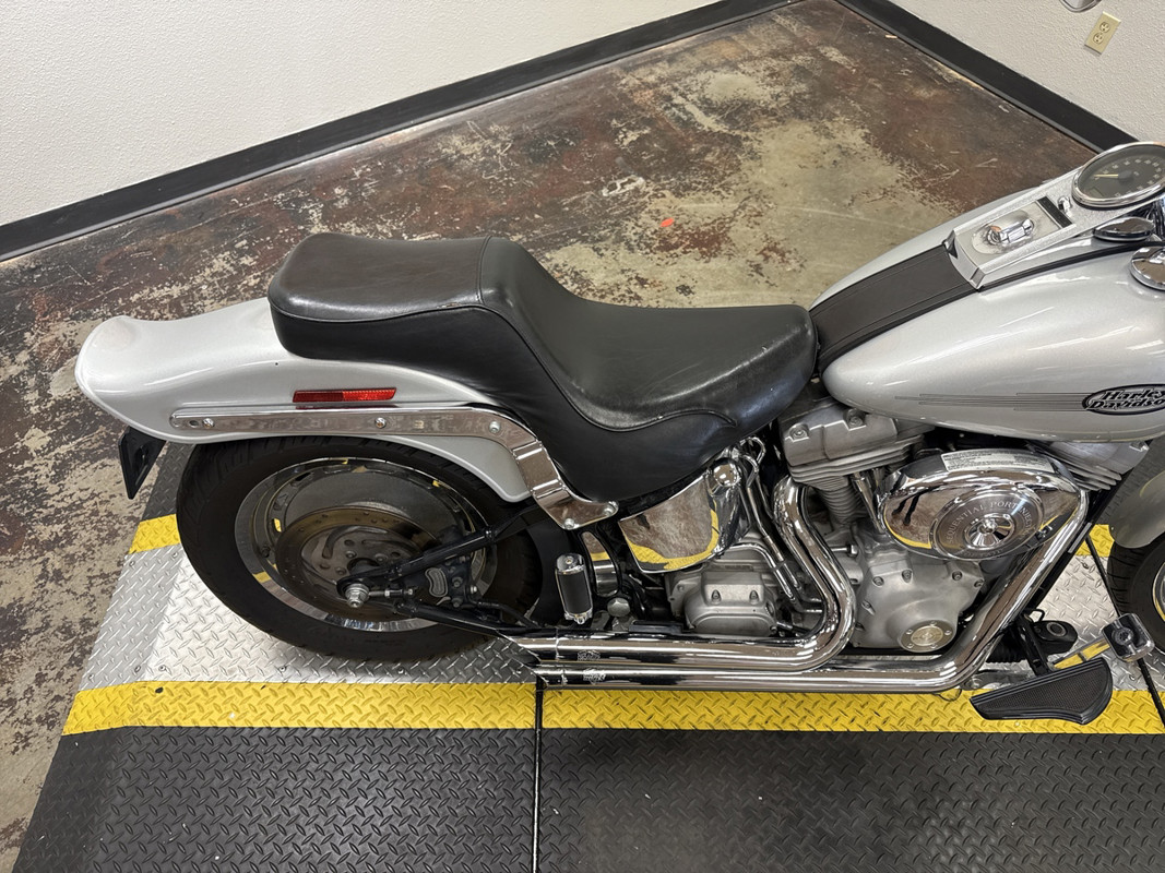 Softail® Standard