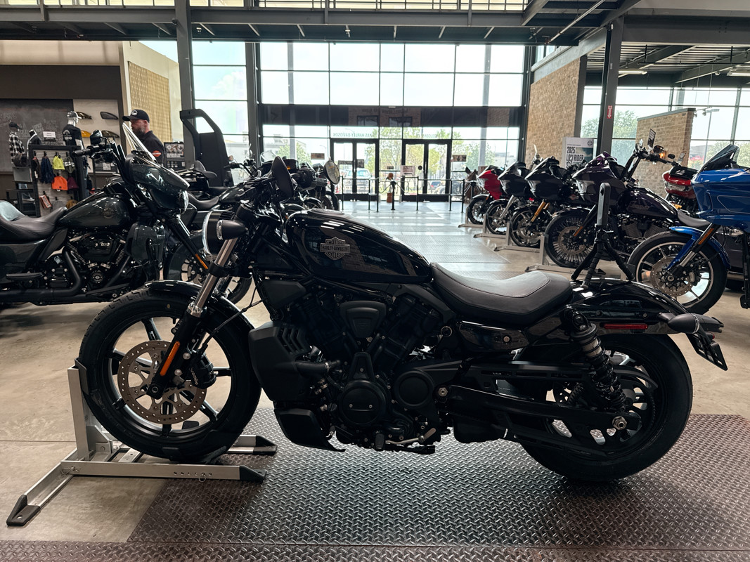 Nightster
