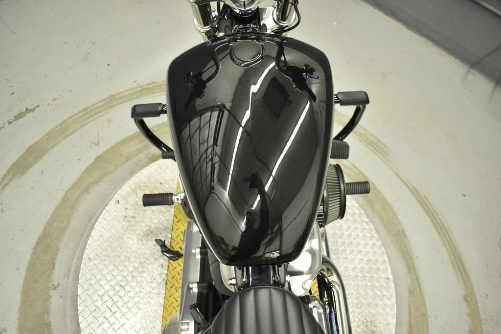 Softail® Standard