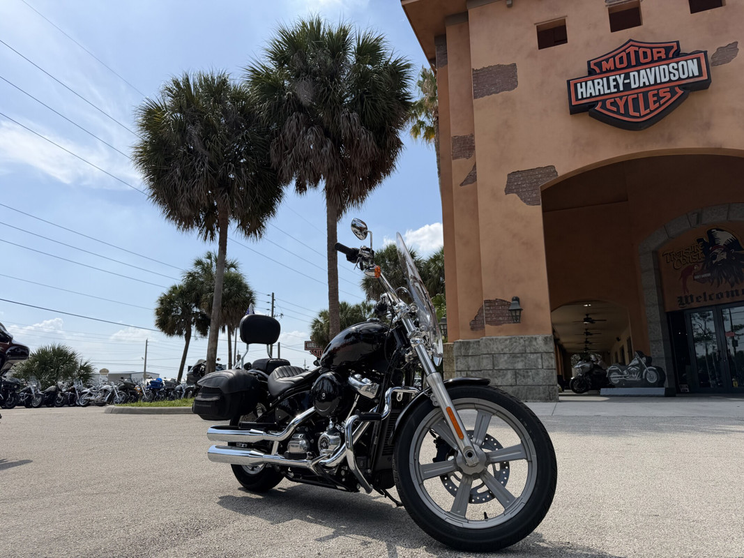 Softail® Standard