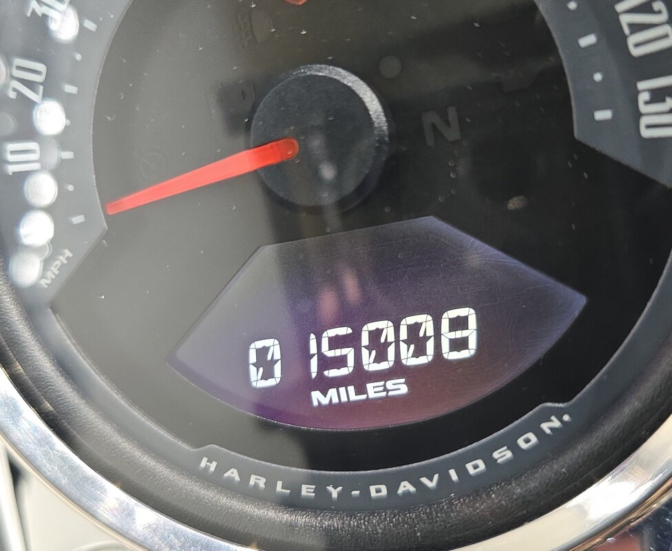 Softail® Low Rider®