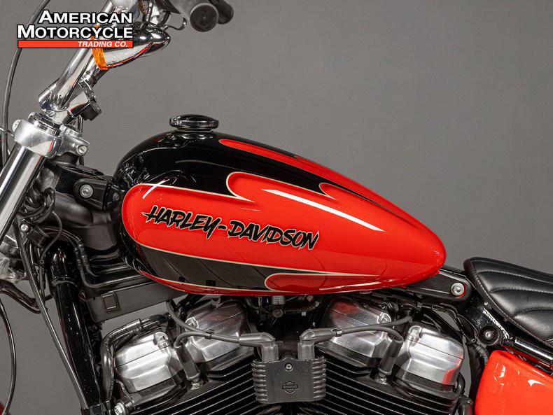 Softail® Standard